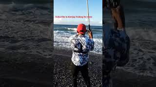 Fighting Big Permit #fish #fishing #beach #hookup #permit