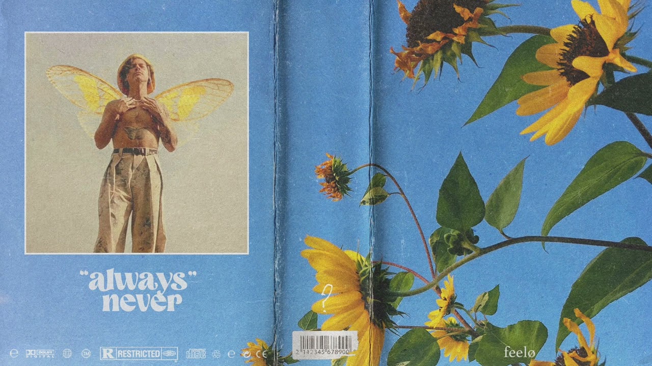 always never // (Harry Styles Type) - Indie Guitar Beat