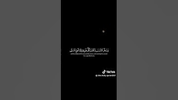 سوره لقمان من الايه 28 الي الايه 29 | الشيخ ياسر الدوسري