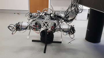 Undergraduate Thesis 2020 - Macleay Stephenson