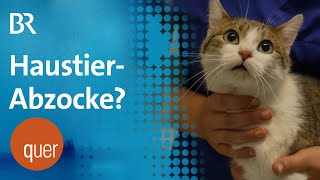 Teure Tierarzt-Rechnung – das Geschäft mit der Tierliebe