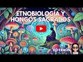 Hongos Sagrados y Etnobiología: "Un Viaje a lo Divino"