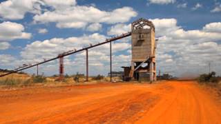 RUI MONIZ JAMBA SAUDADE