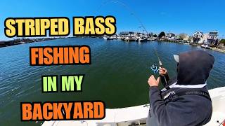 Snap Jigging For Striped Bass  in My Backyard