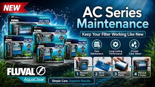 AC series maintnance #fluval #bestfilter #explorepage #aquariumfilter #aquarium