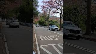 Famous waiting for the bus #subscribe #subscribers #youtube #youtuber #status #yt #asmr #ytindia #ytshorts Profile