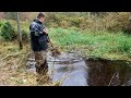 WILD Canary Grass Jungle Clean-Up From Creek! | Beaver Creek PT 2| #Satisfying