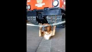 Stretching.wmv