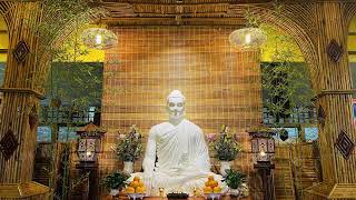 Pháp Đàm NIKAYA - Sống Đẹp