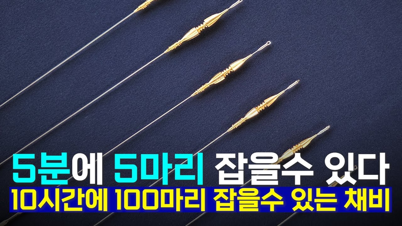 정말 특별한 채비인데... 절대로 영상보지마세요 붕어 도망갑니다.