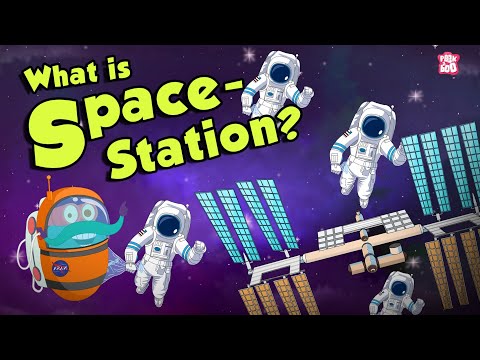 What Is A Space Station? | SPACE STATION | Dr Binocs Show | Peekaboo Kidz