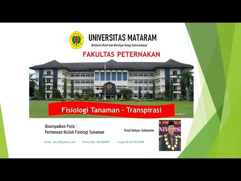 Video: Perbezaan Antara Transpirasi Lentikular Dan Kutikular Stomatal