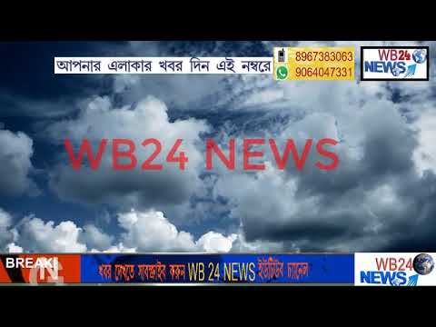 ভিডিও: কীভাবে নতুন বছরের বৃষ্টি থেকে বাচ্চা পরীর ভ্যান্ড তৈরি করা যায়