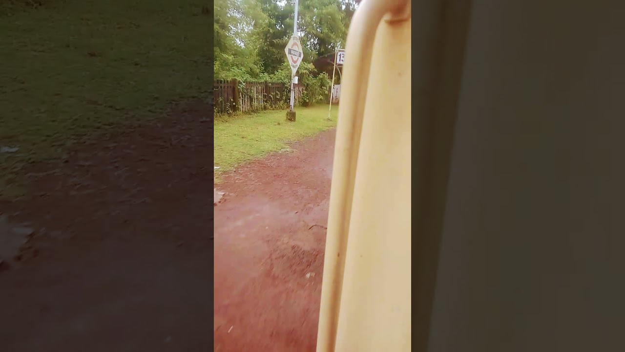 🌴odh lavti ashi jivala 😍 