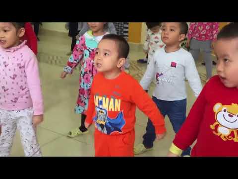 LAMITA STAR tại Trường mầm non Liễu Giai - Kids by nature | Foci