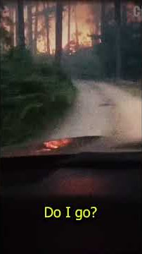 Driving Through Wildfire: Dad's Crazy Escape From Burning Park! #shorts