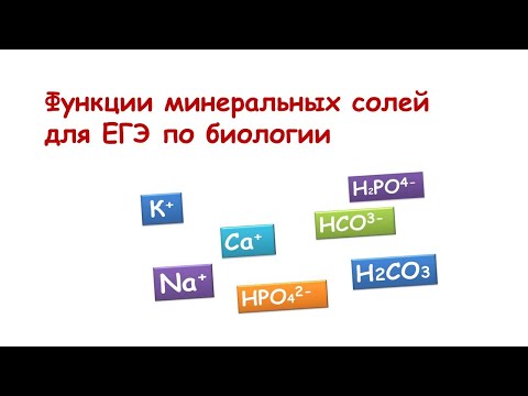 Функции минеральных солей для ЕГЭ по биологии