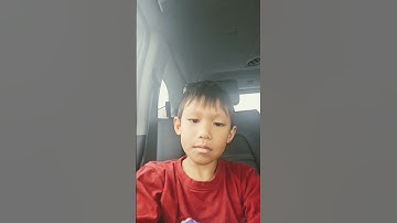 Smiling Critters Deepfake Template