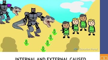 PERCEPTION AND INDIVIDUAL DECISION MAKING