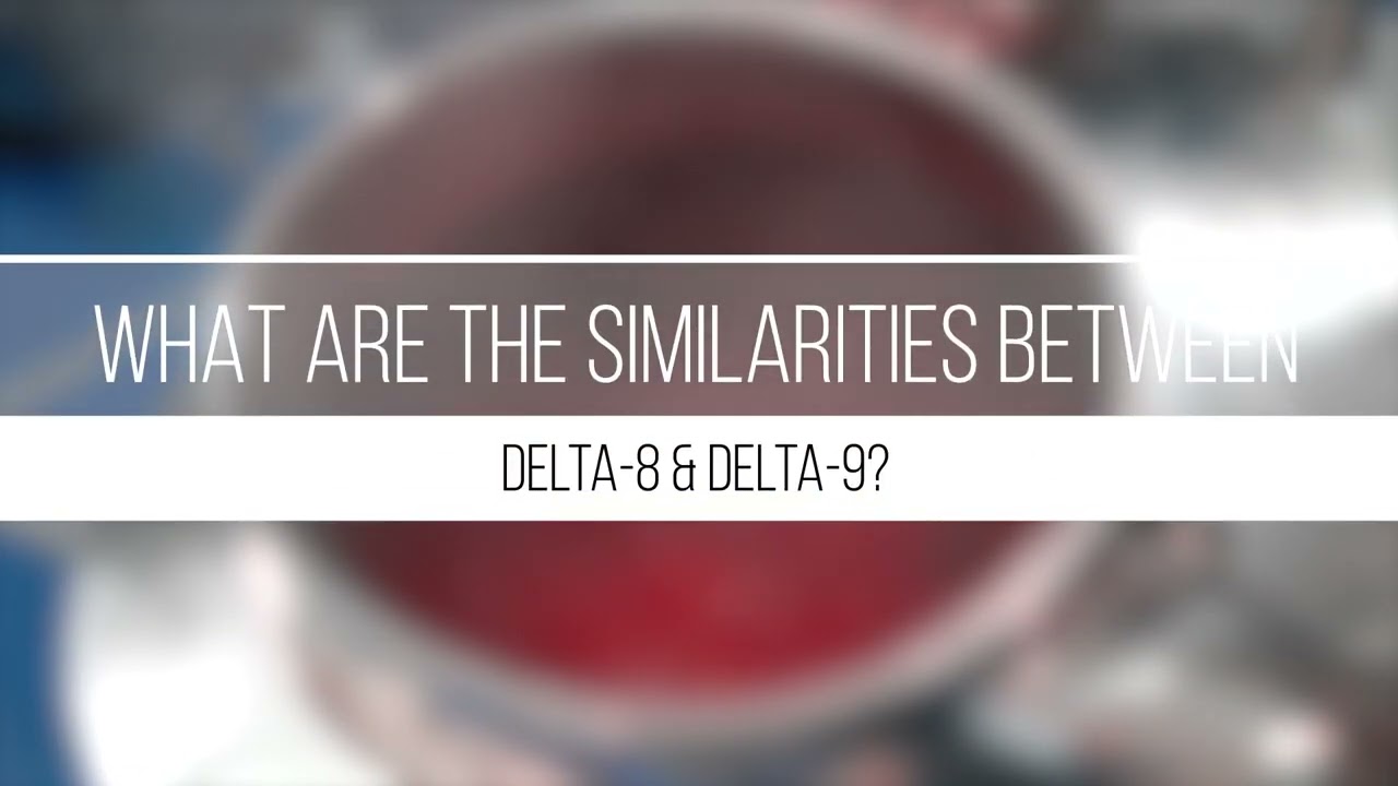 What Is The Difference Between Delta 8 and Delta 9 | Ask An Expert | Mystic Labs™