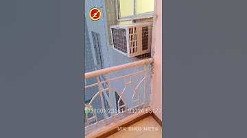 Effective Pigeon Netting Services in Gurgaon-Secure Your Space