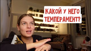 Мега находка /Алкоголь это правда вкусно или это миф?Говорить без ошибок?Какой темперамент у немца?