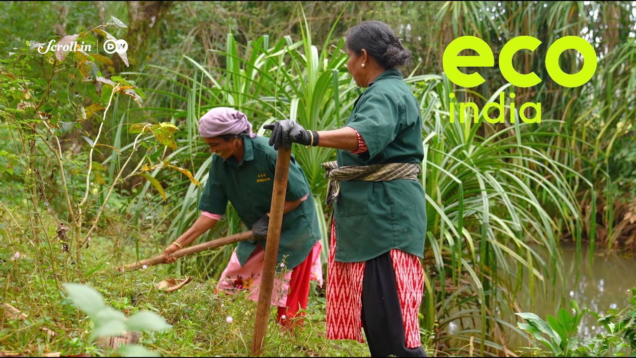 Eco India: How Kerala is leading the way in biodiversity conservation through localised efforts