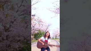 Sakura can I find my Love? by Nur Cholpon #nurcholpon  #sakura