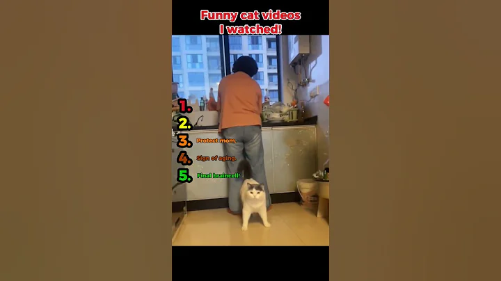 Watch the video about Funny cat videos I watched Day 14!