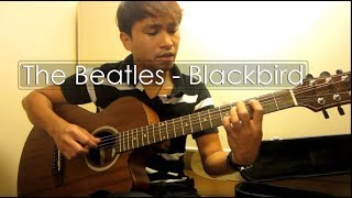black birds fly beatles 21