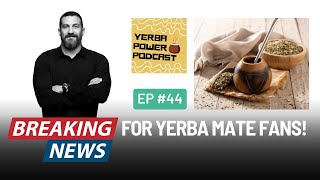 Dr. Andrew Huberman's Yerba Mate company