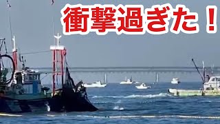 【衝撃映像】目の前で海面爆発!?青物こんなに居たの？驚き尽くしのショアジギング