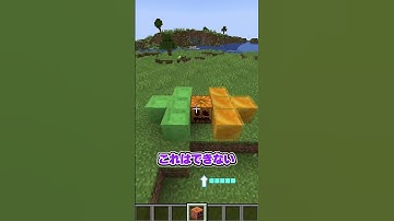 色んなゴーレムを検証してみた！#マインクラフト #マイクラ #minecraft #shorts