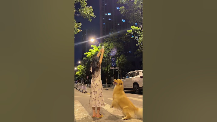 I didn't expect that a bottle of mineral water could be so romantic#goldenretriever #shorts