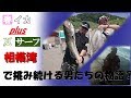 (葉山ボート&サーフFishing)三浦ボート～西湘ジグサビキ＝デビル(巨大)イカ＆ショゴ釣れたぁ！