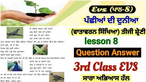 3rd class evs | lesson 8 | question answer| ਪੰਛੀਆਂ ਦੀ ਦੁਨੀਆ | 8th lesson |PSEB|chapter 8| class 8th