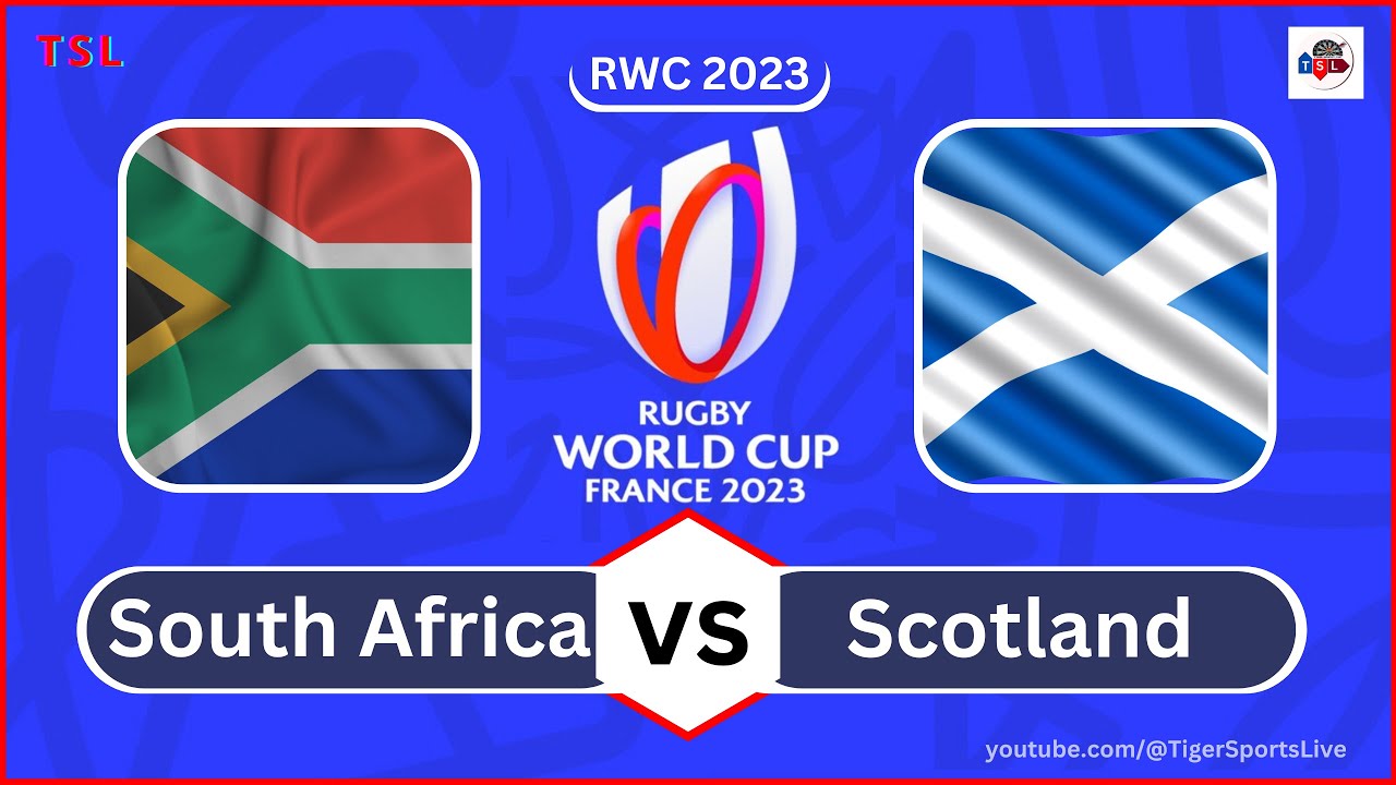 South Africa vs Scotland Rugby Live Scores - Rugby World Cup 2023 (Springboks vs Scotland)