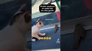 patron arıyor😂😂😂 Resimi