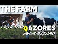 The farm sao miguel azores  connecting you with locals making a big impact on farming and tourism