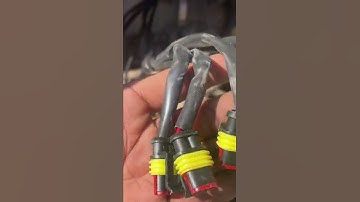 Cng Injector Ware 🌤