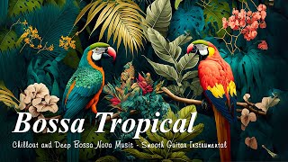 Paradise Bossa Nova Tropical  Chillout and Deep Bossa Nova Music  Smooth Guitar Instrumental