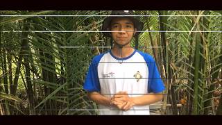 Hegi Kaban Siregar Fite 2019