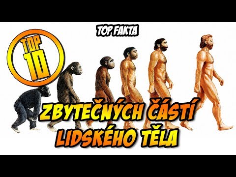 Video: Proč Psi Páchnou Lidskými Rozkroky?