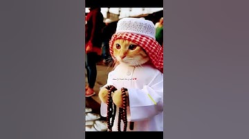 #المصحف #الرحمن #لايك القرآن الكريم قرآن #القزابري #حالات_واتس