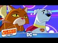 Justice League Action | Super Cats & Dogs | DC Kids
