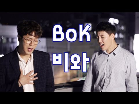 비오케이(BoK)-"비와"cover(바이브)