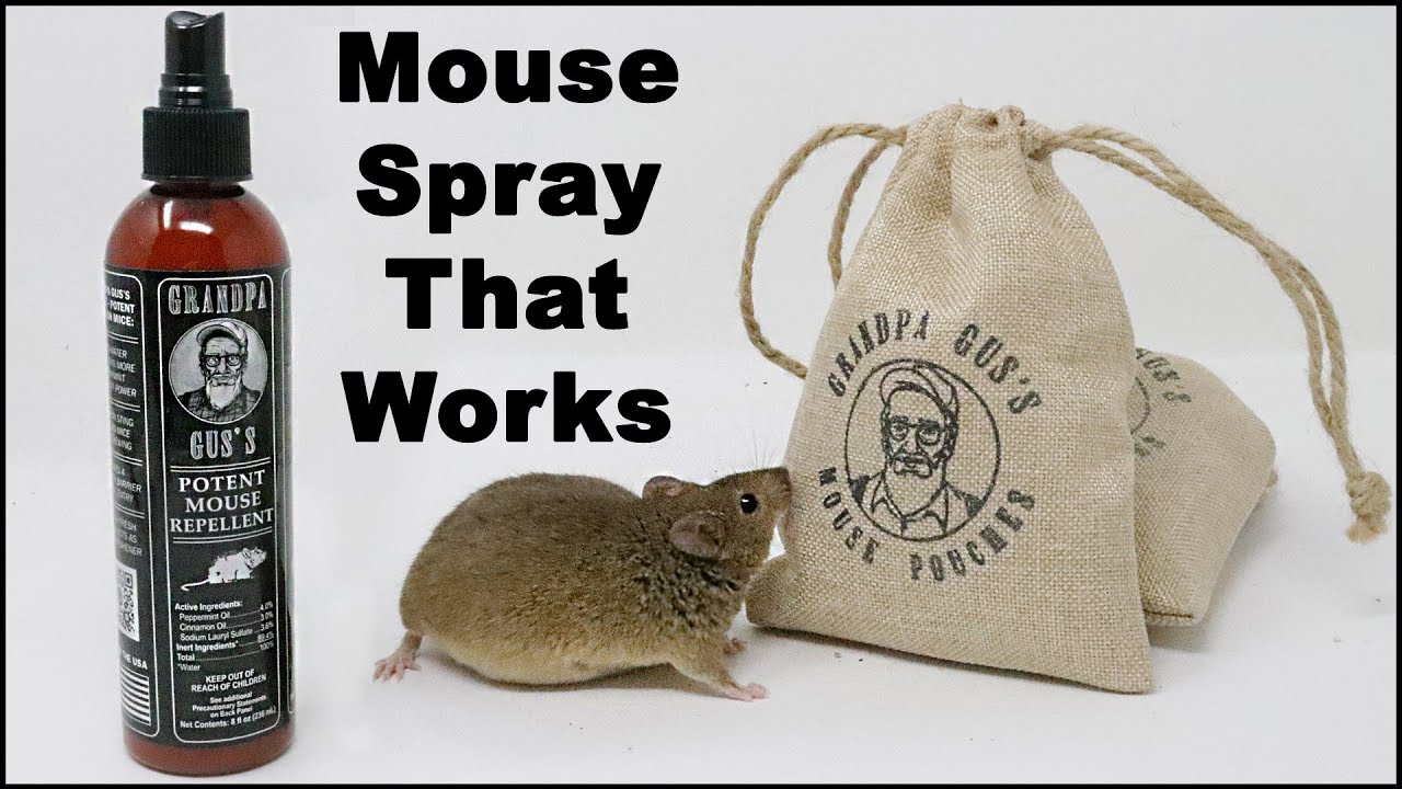 MIDAS - We stock Liqui Moly mader spray to keep the rats