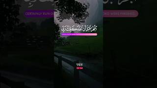 سورة الكهف | القارئ اسلام صبحي 🎧🌙