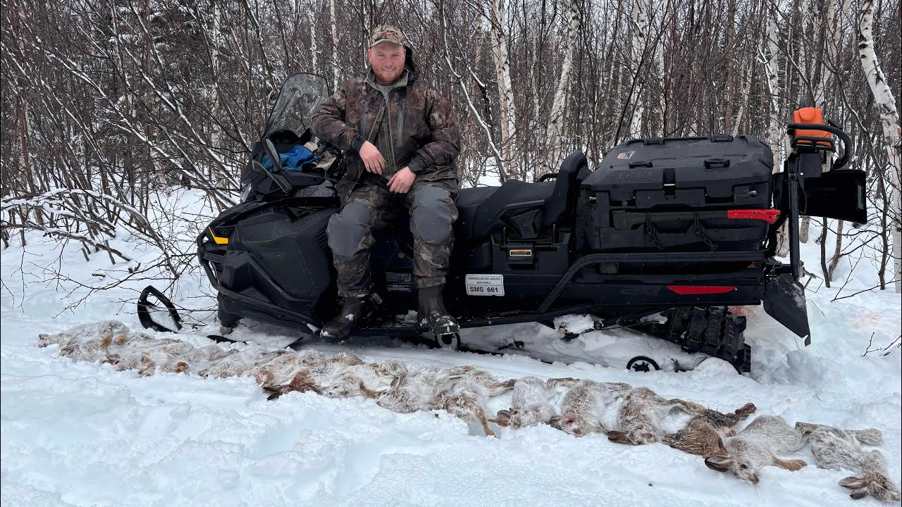 Newfoundland Winter Rabbit Catching Part 1