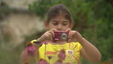 Search for Bugs and Butterflies during the Texas Pollinator BioBlitz